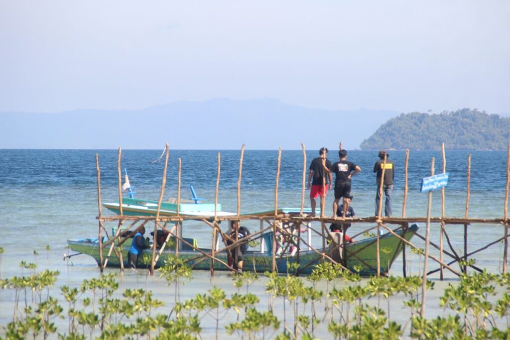 Proses Menanam Bibit Mangrove di Wilayah Pesisir