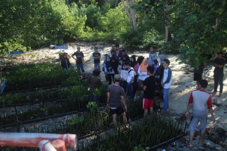 Edukasi Pentingnya Penanaman Mangrove di Wilayah Pesisir