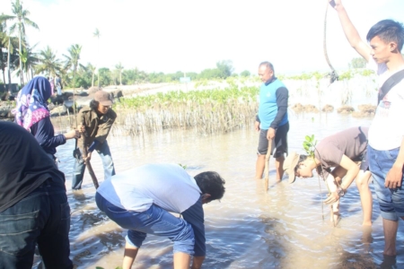 Penanaman Bibit Mangrove di Wilayah Pesisir